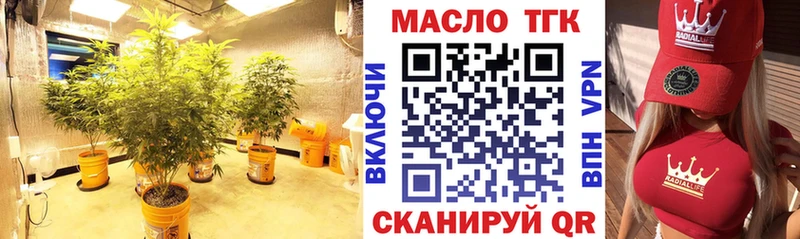 купить наркотик  сайты даркнета Telegram  omg рабочий сайт  ТГК гашишное масло  Губкин 