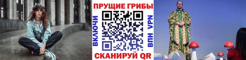 Галлюциногенные грибы Psilocybine cubensis  Губкин 